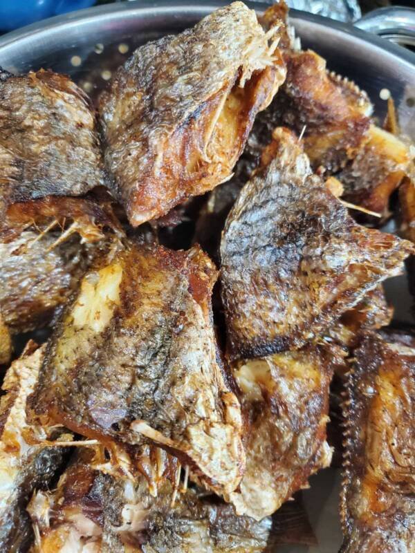 Fried tilapia fish
