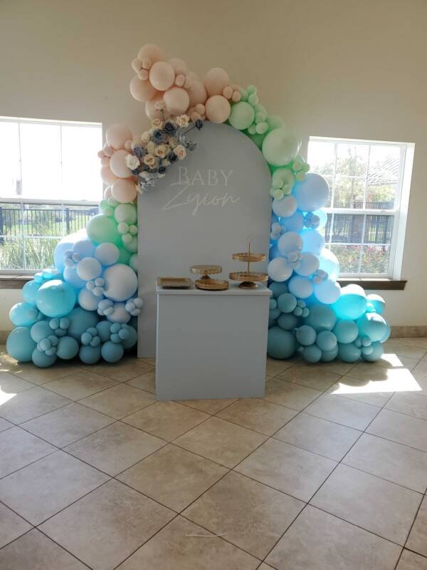 Backdrop and balloon decoration