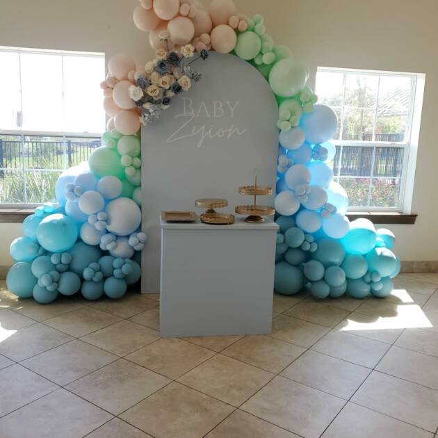 Backdrop and balloon decoration